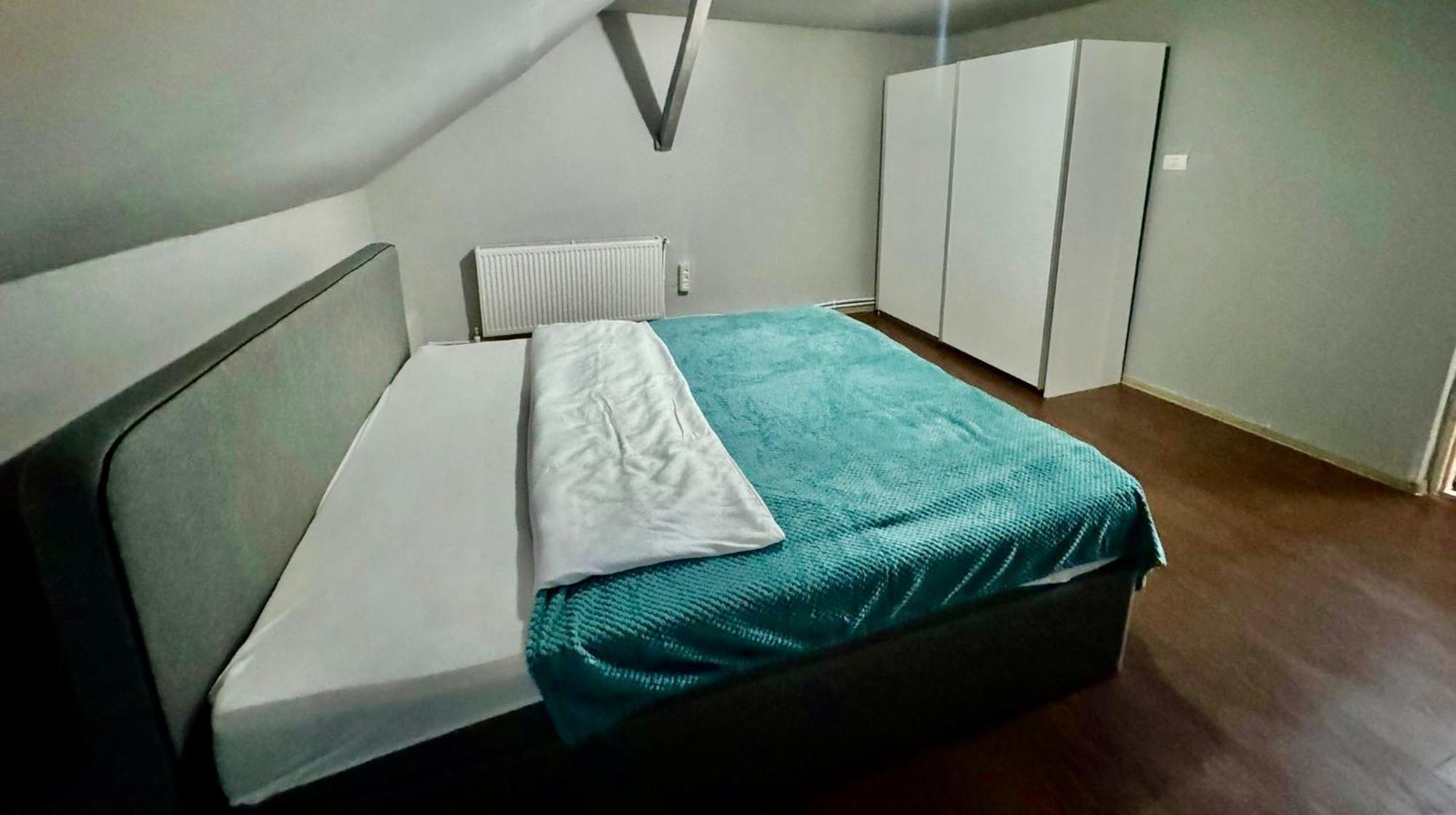 Bed and Breakfast Serbian House Тімішоара Екстер'єр фото
