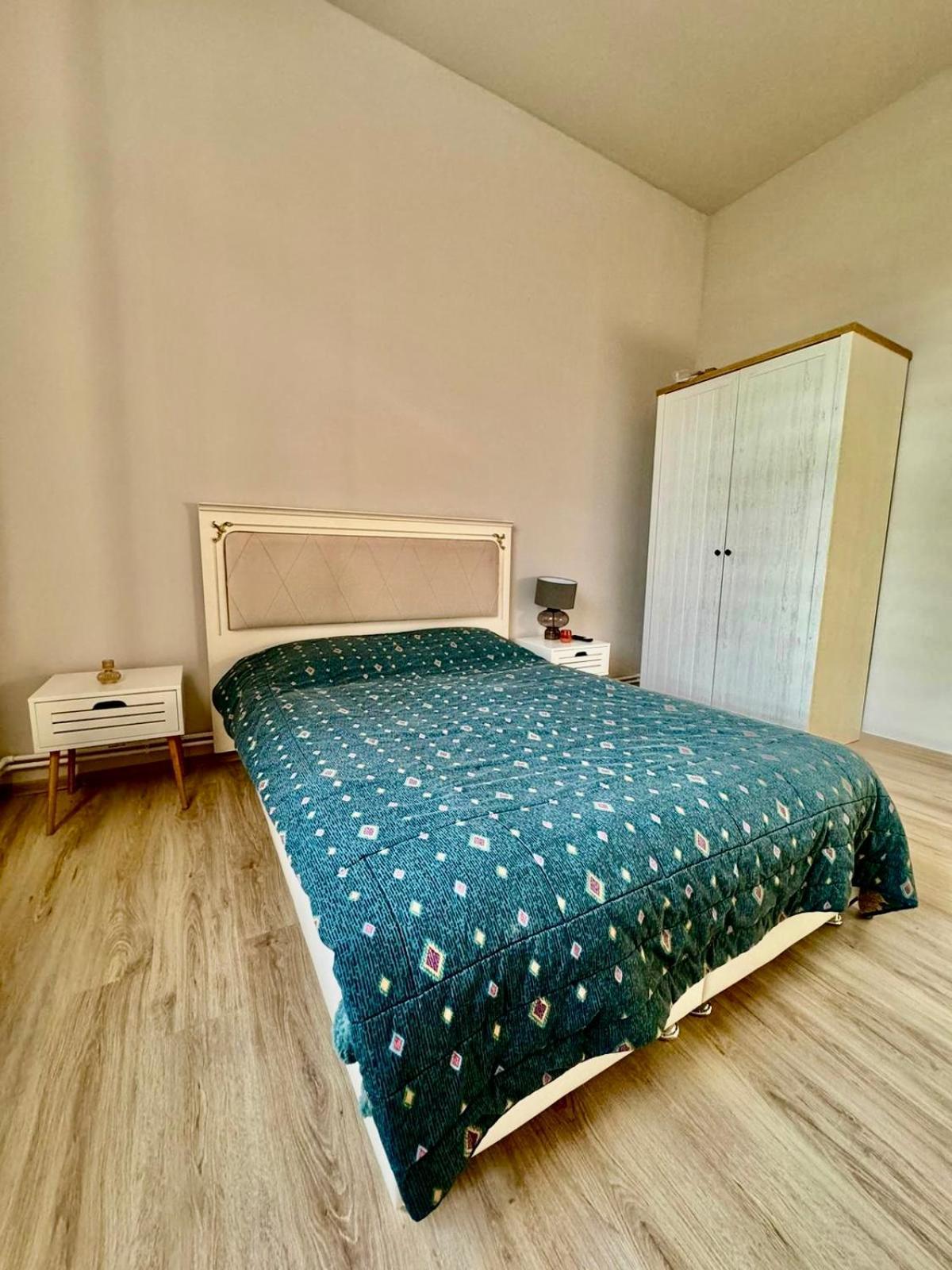 Bed and Breakfast Serbian House Тімішоара Екстер'єр фото
