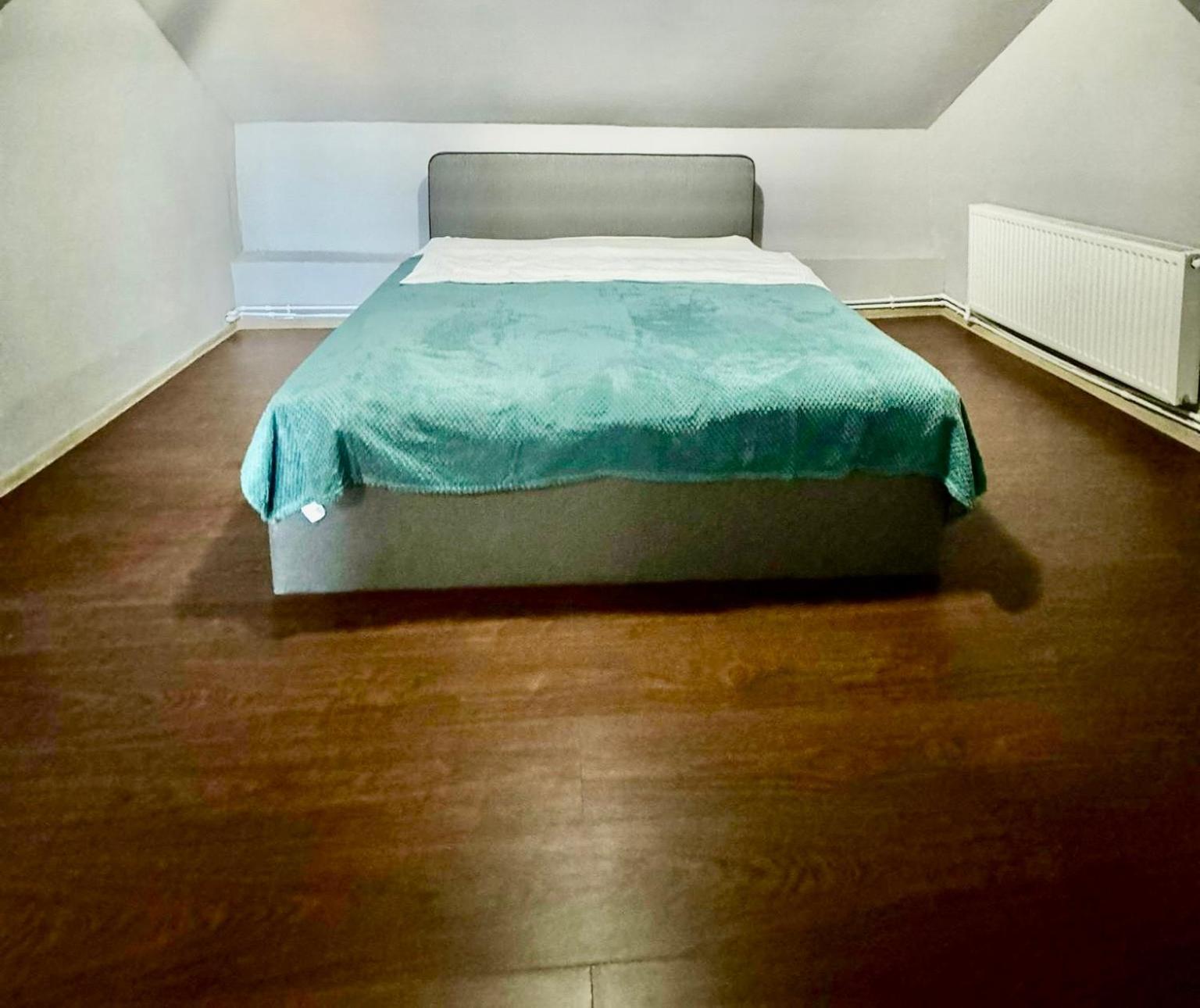 Bed and Breakfast Serbian House Тімішоара Екстер'єр фото