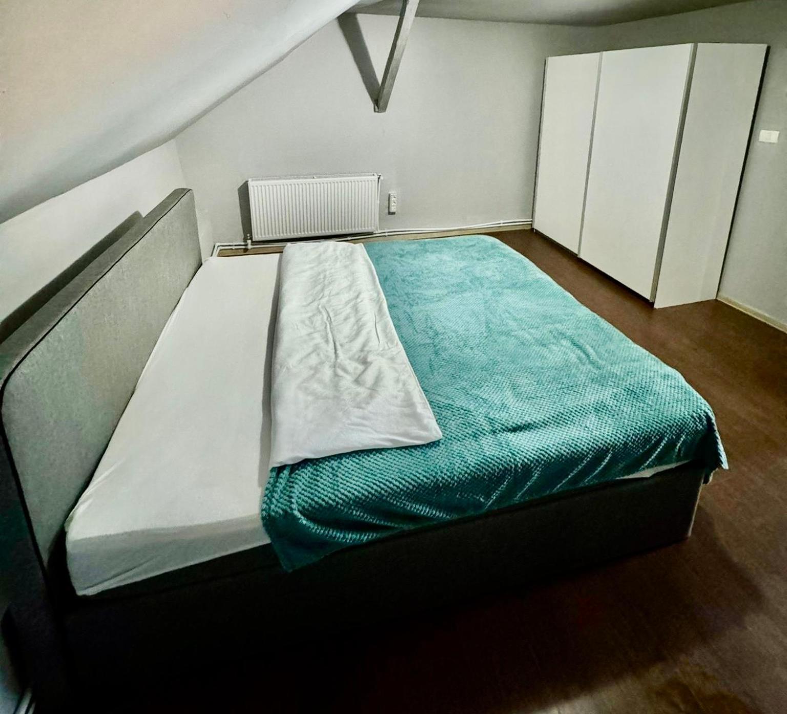 Bed and Breakfast Serbian House Тімішоара Екстер'єр фото